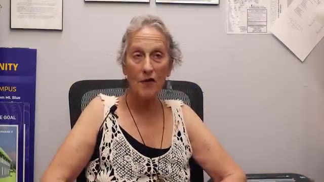 Lynne, a CES mentor.